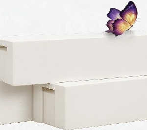 Advanced Usage Scenarios for bic White block