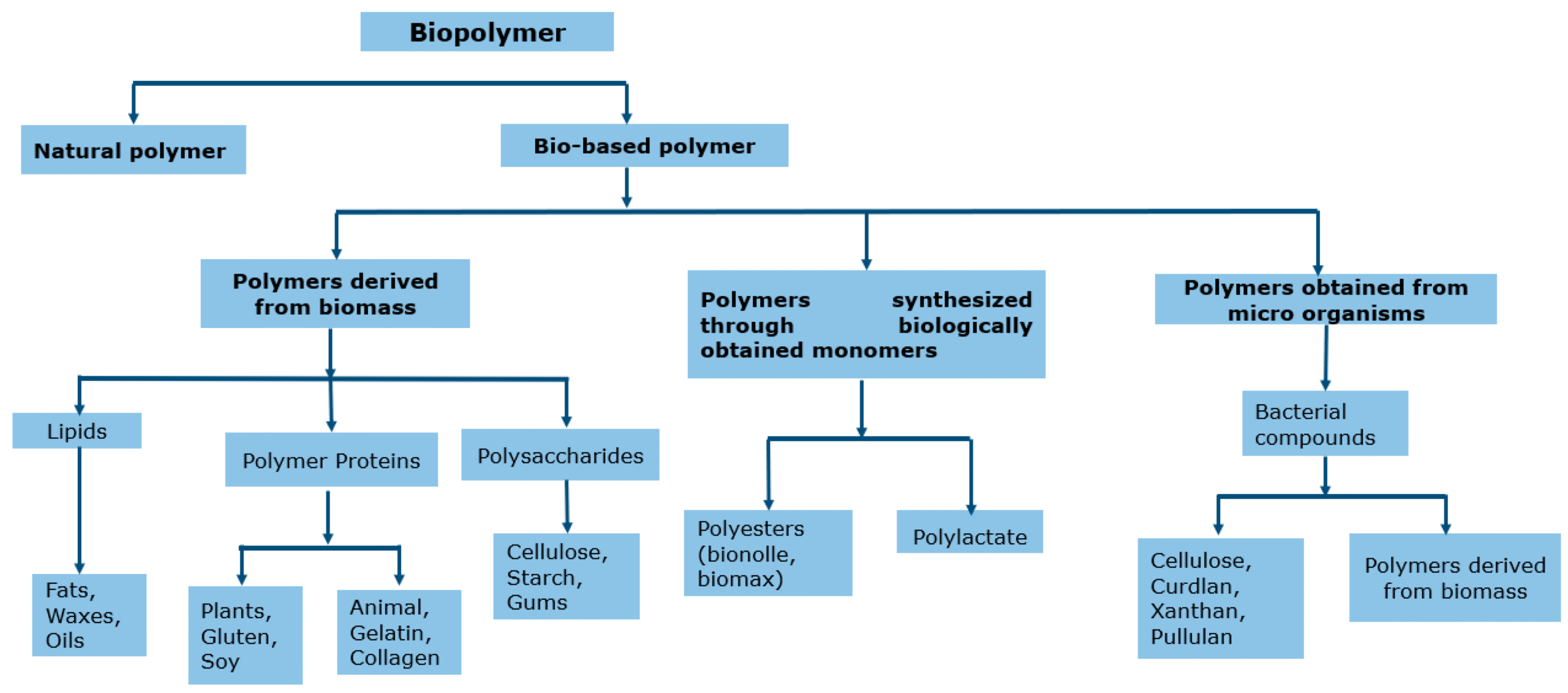 Innovations in Recyclable and Circular Polymer Systems