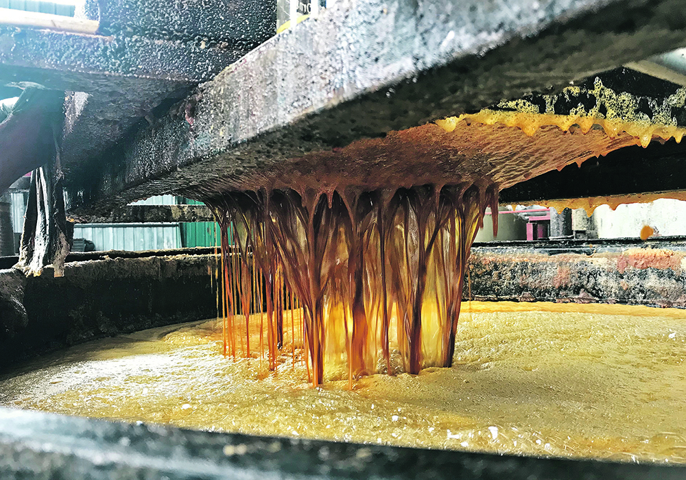 Cooking oil ( used or fresh ) - Image 4