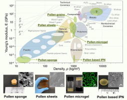 Emerging Technologies in Future-Forward Polymers